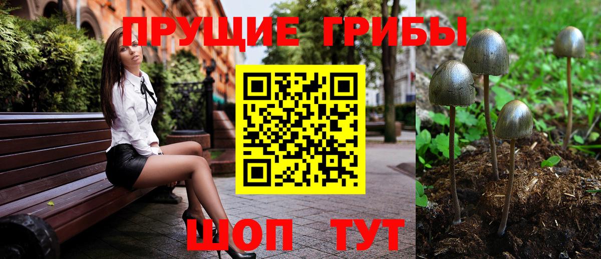 Усинск  Псилоцибиновые грибы GOLDEN TEACHER  цены наркотик  Вход с VPN 