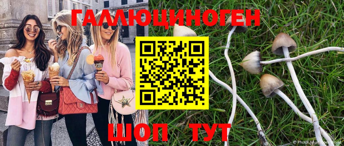 Псилоцибиновые грибы прущие грибы Усинск